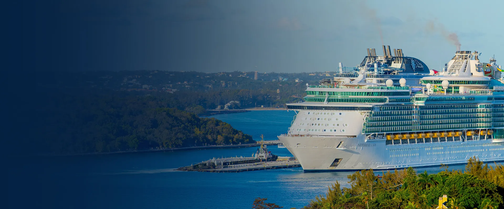 cruise banner